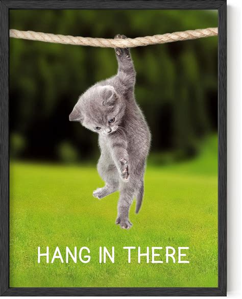 cat poster hang in there